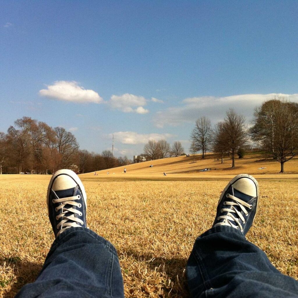 Navy canvas trainers resting on dry grass under a blue sky